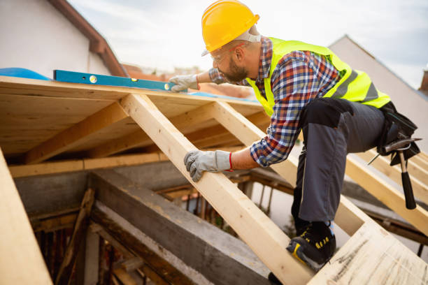 Best Roof Gutter Cleaning  in Fairport, NY